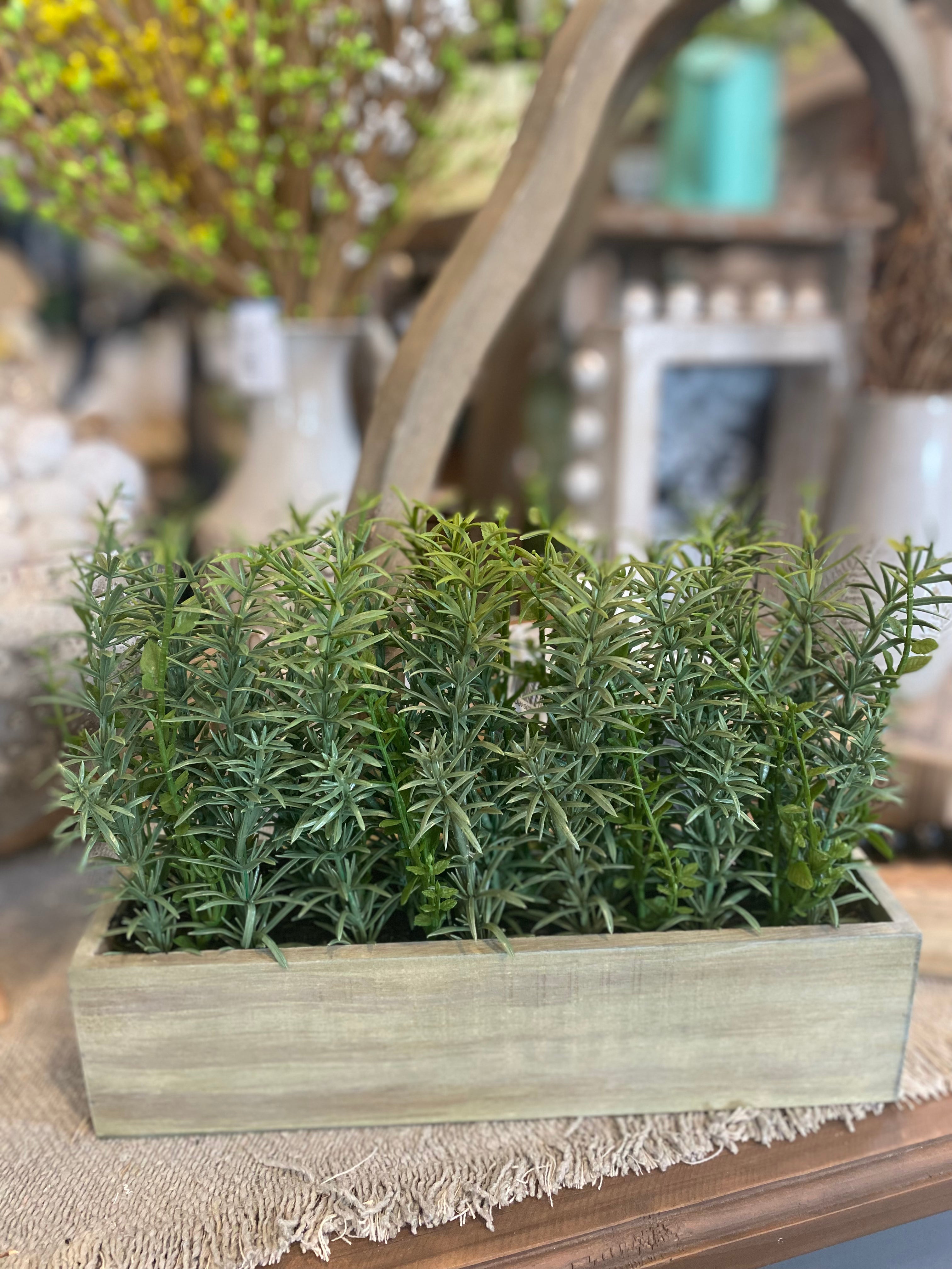 Planted Herb in Wooden box